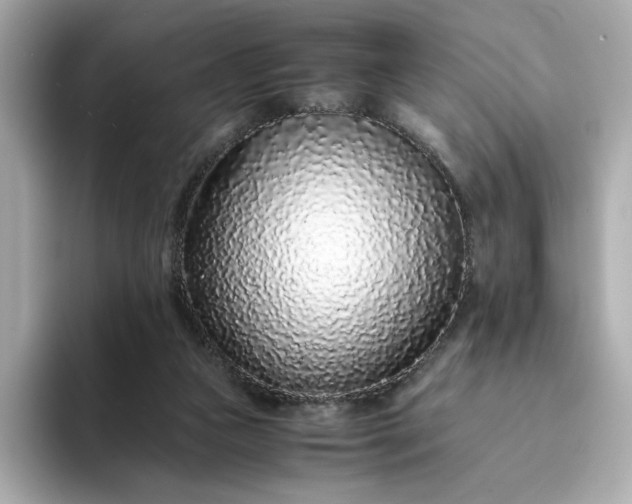 X0000093430161200710261027