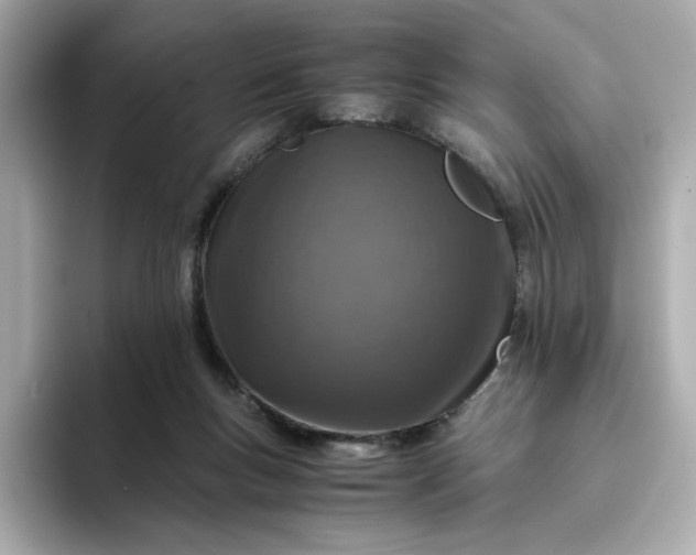 X0000093430167200710261027