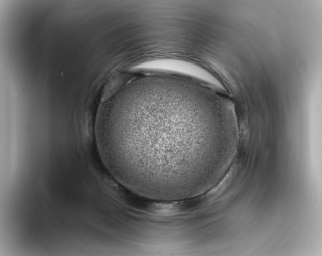 X0000093430170200710261027