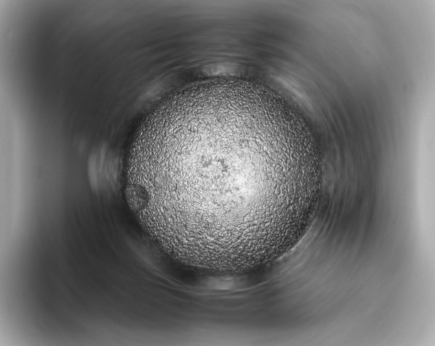 X0000093430171200710261027