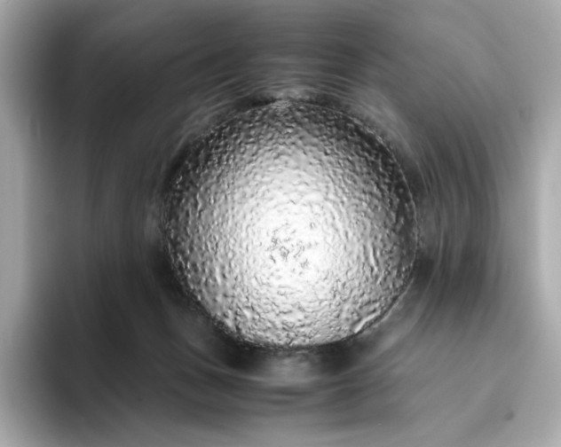 X0000093430175200710261027