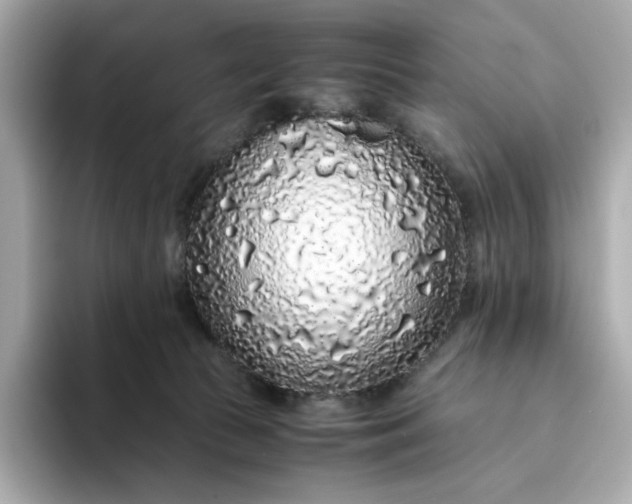 X0000093430177200710261027