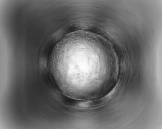 X0000093430178200710261027