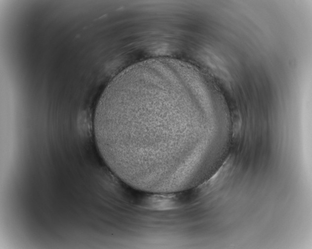 X0000093430179200710261027