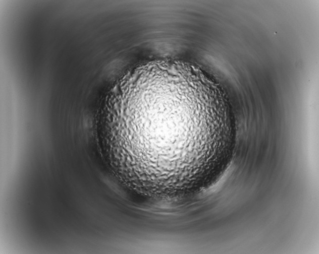 X0000093430182200710261027