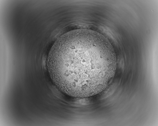 X0000093430185200710261027