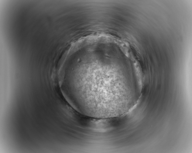 X0000093430186200710261027