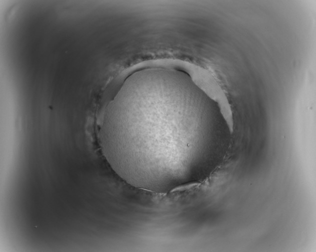 X0000093430192200710261027