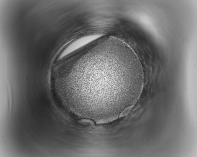 X0000093430194200710261026