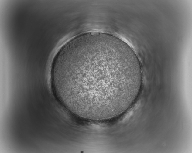 X0000093430199200710261026