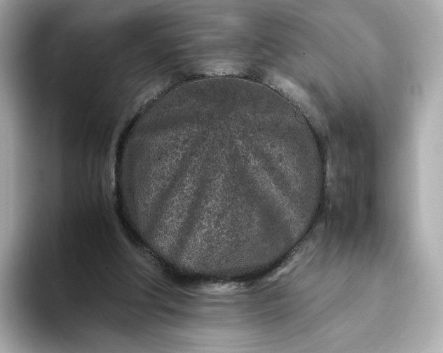 X0000093430202200710261026