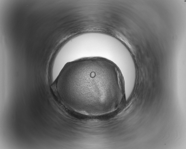 X0000093430203200710261026