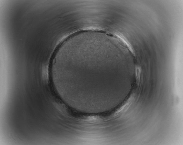 X0000093430204200710261026