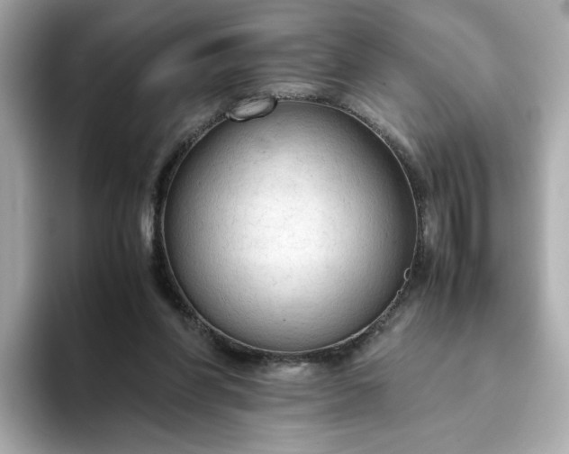 X0000093430206200710261026