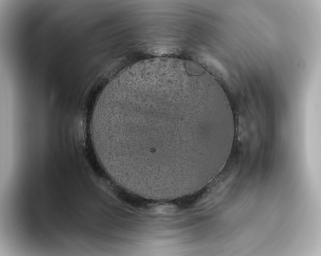 X0000093430210200710261026