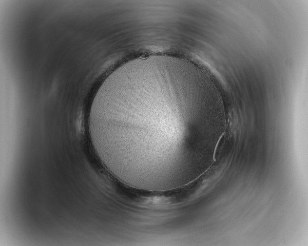 X0000093430212200710261026