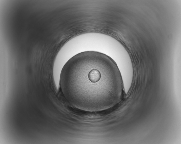 X0000093430215200710261026