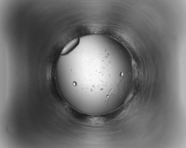 X0000093430221200710261026