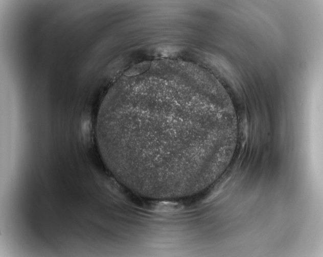 X0000093430222200710261026