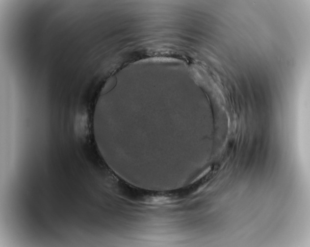 X0000093430224200710261026