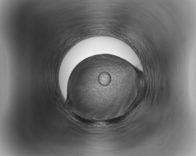 X0000093430227200710261026