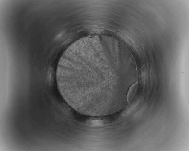 X0000093430228200710261026