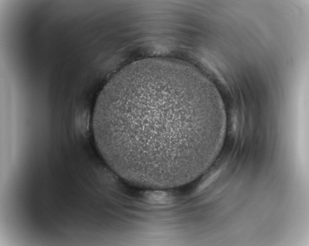 X0000093430230200710261026