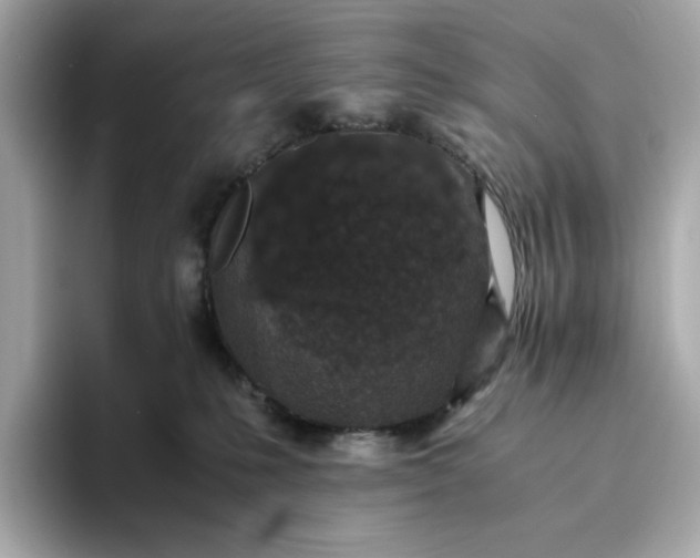 X0000093430231200710261026