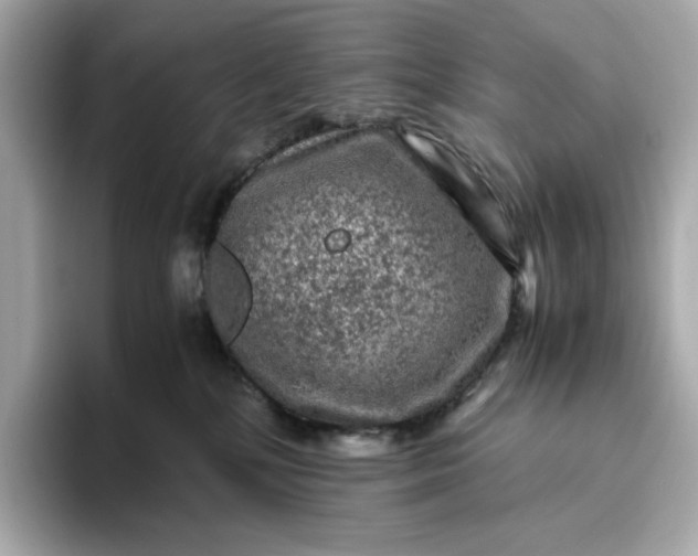 X0000093430232200710261026