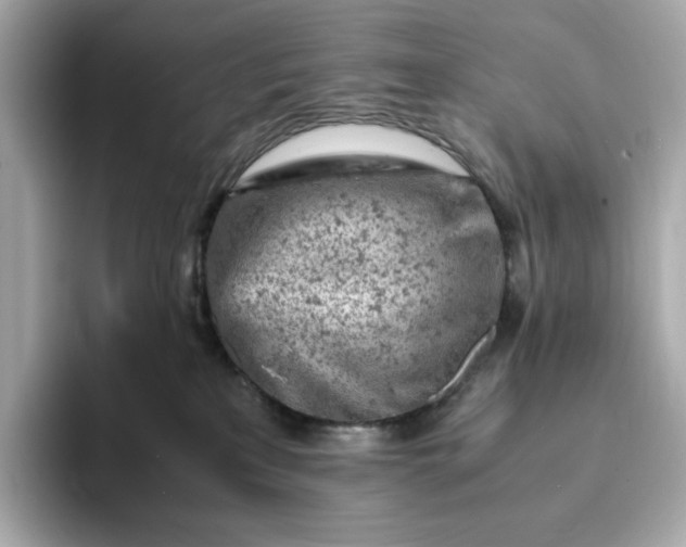 X0000093430233200710261026