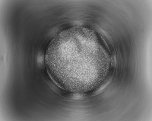 X0000093430238200710261026