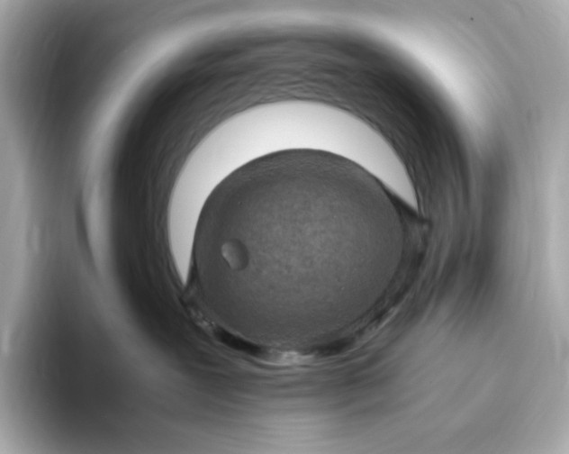 X0000093430239200710261026