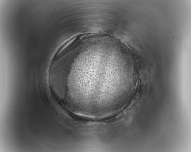 X0000093430242200710261025