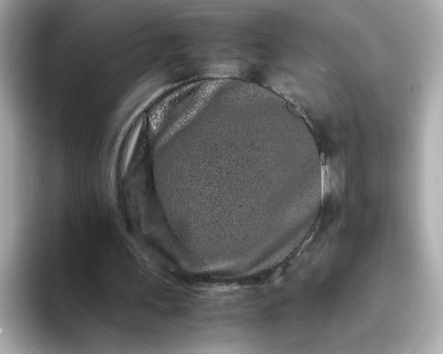 X0000093430243200710261025