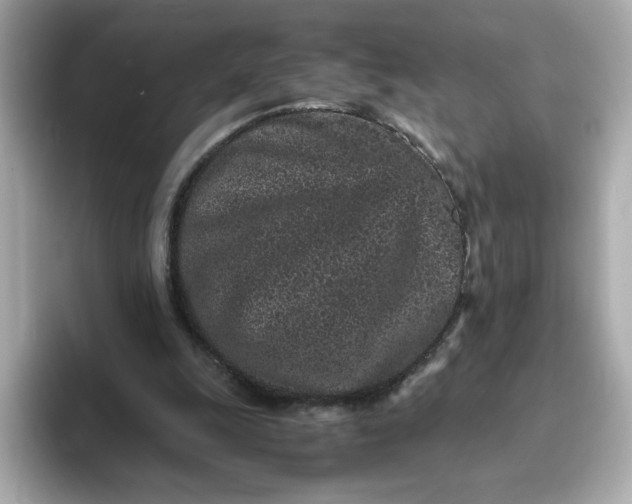 X0000093430247200710261025