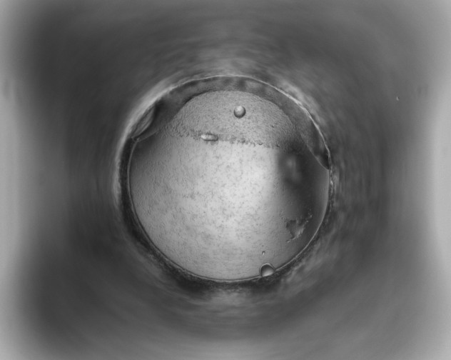 X0000093430248200710261025