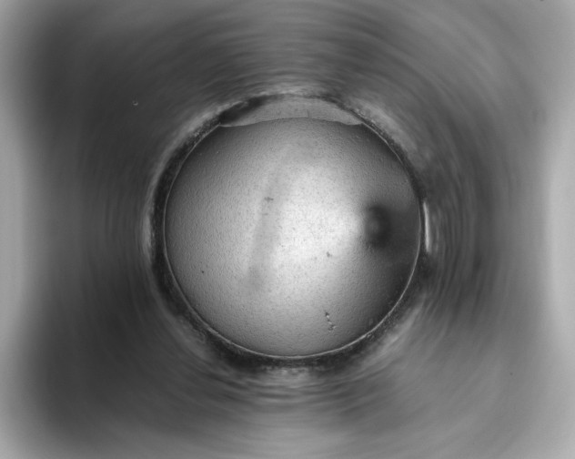 X0000093430252200710261025