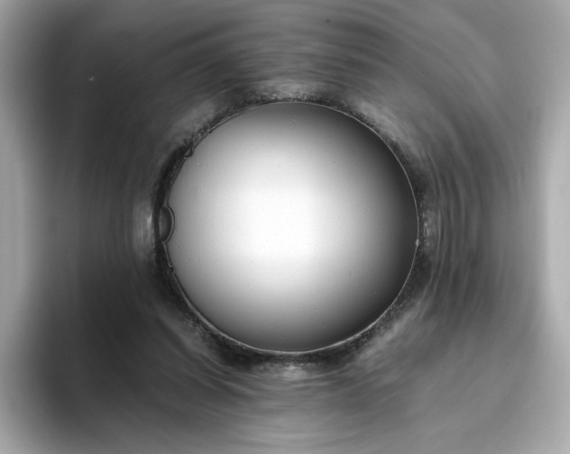 X0000093430254200710261025