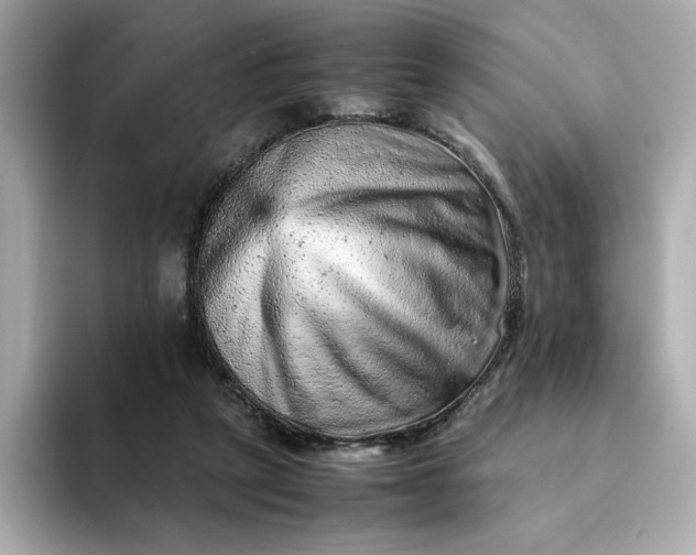 X0000093430257200710261025