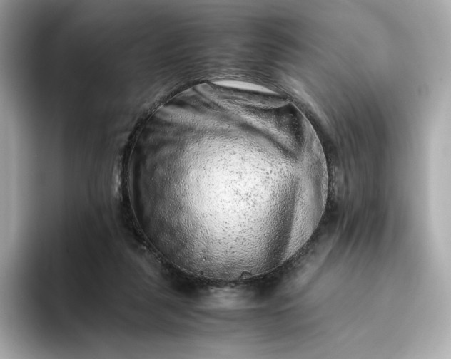 X0000093430259200710261025