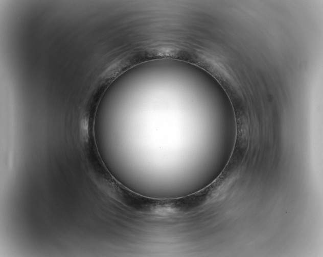 X0000093430262200710261025