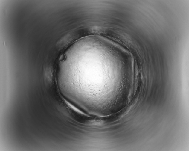 X0000093430266200710261025