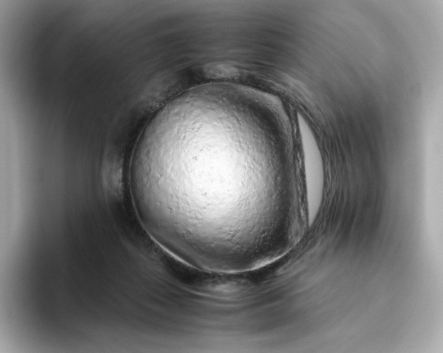 X0000093430267200710261025