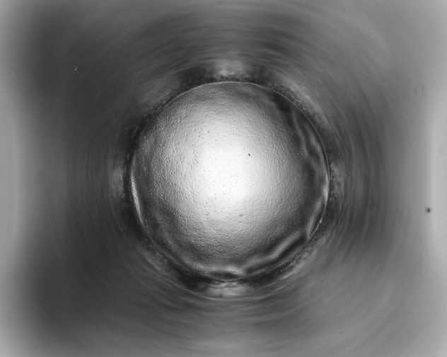 X0000093430269200710261025