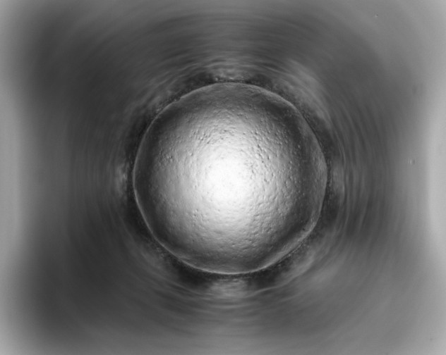 X0000093430271200710261025