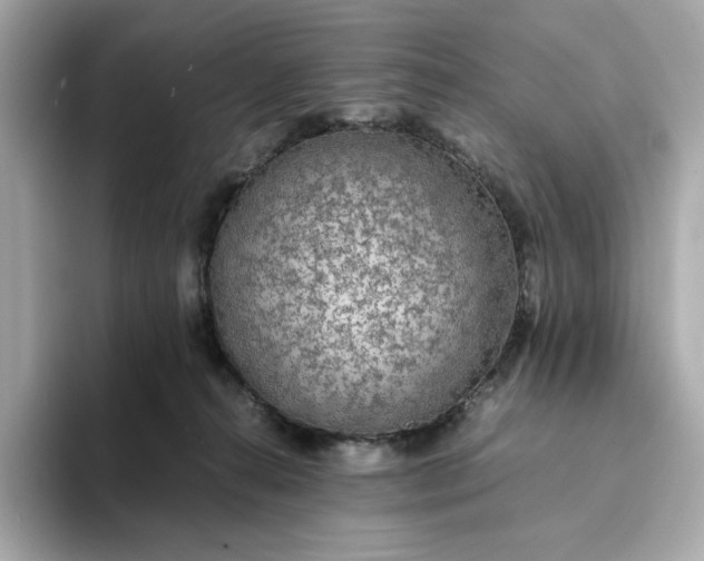 X0000093430272200710261025