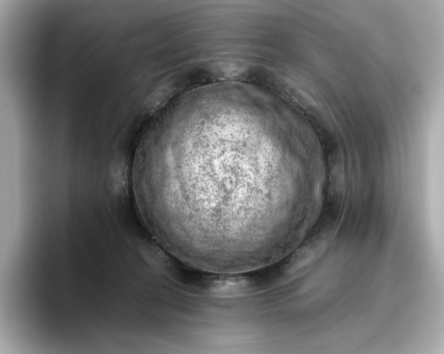 X0000093430274200710261025