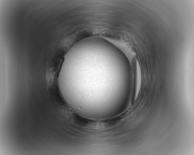 X0000093430276200710261025