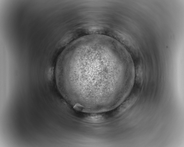 X0000093430278200710261026