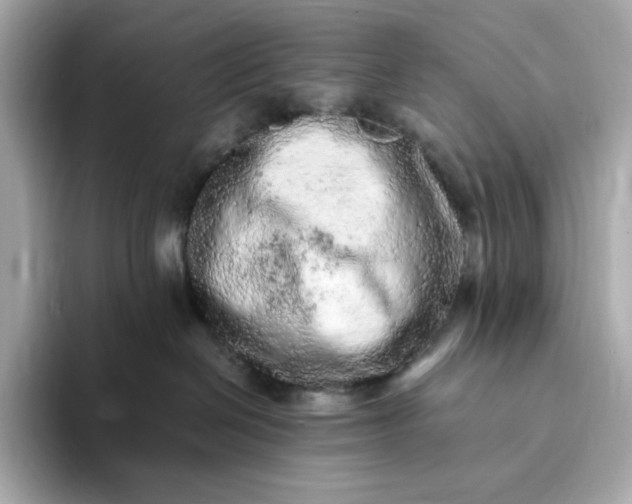 X0000093430286200710261026